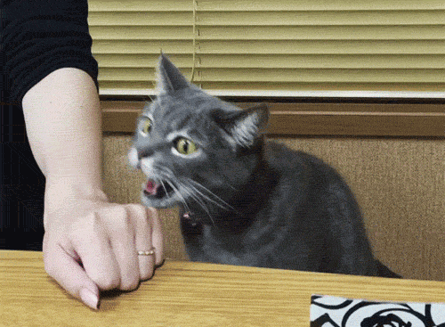 Acid Gifdump, September 30 (25 gifs)