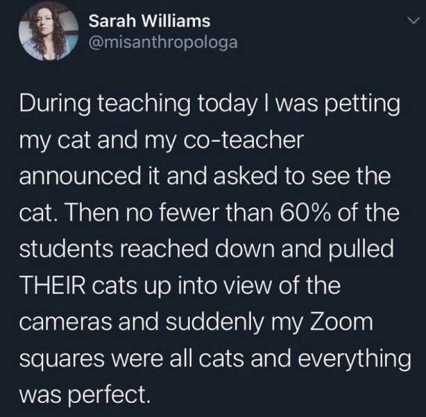 Wholesome Stories (37 pics)
