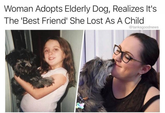 Wholesome Stories (37 pics)