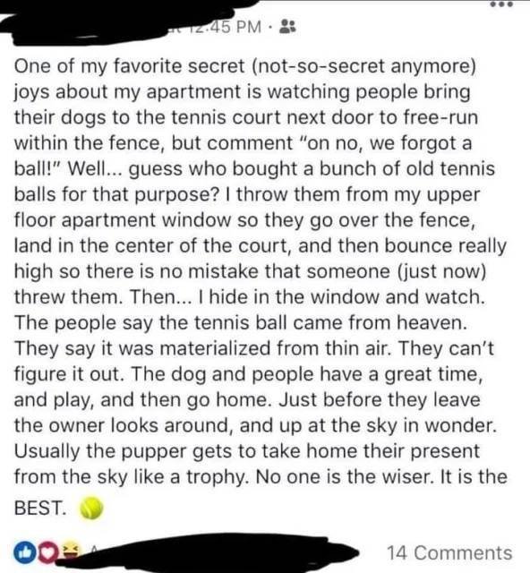 Wholesome Stories (37 pics)