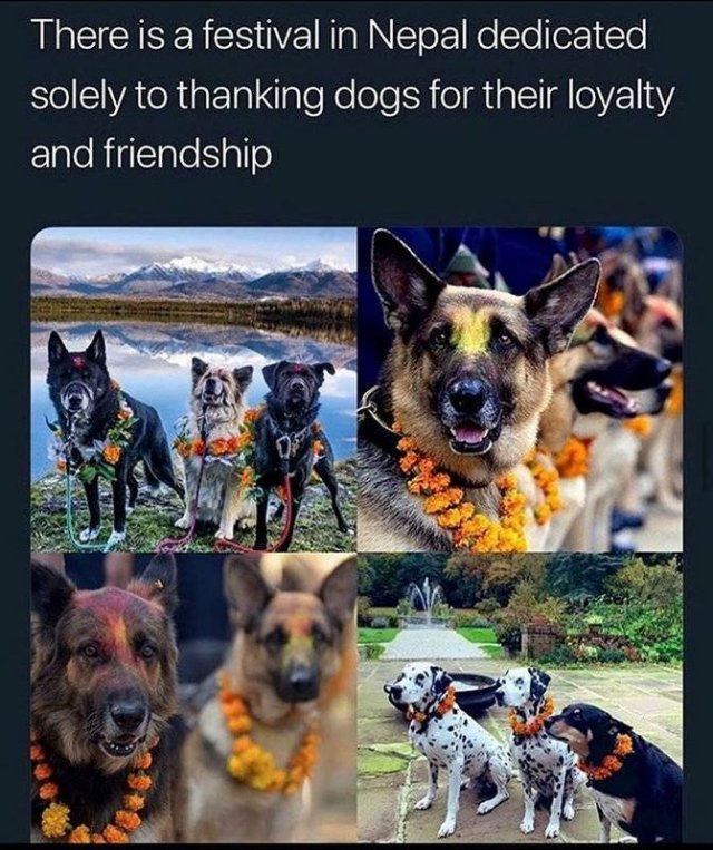 Wholesome Stories (37 pics)
