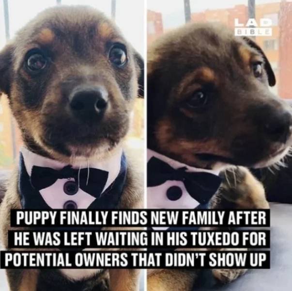 Wholesome Stories (37 pics)