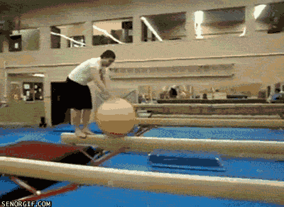 Fails (40 gifs)