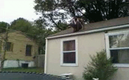 Fails (40 gifs)