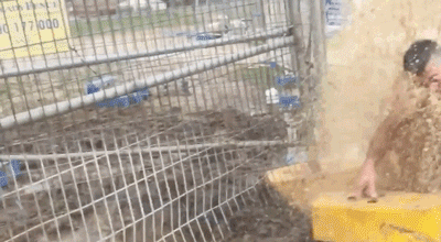 Fails (40 gifs)