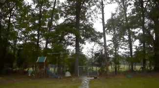 Fails (40 gifs)
