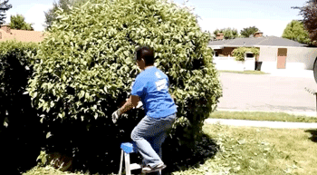 Fails (40 gifs)