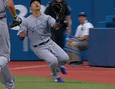 Fails (40 gifs)