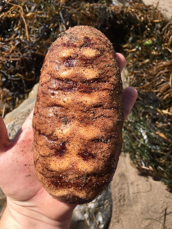 What Are These Things For? (21 pics)
