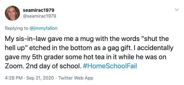 Homeschooling Fails (21 pics)
