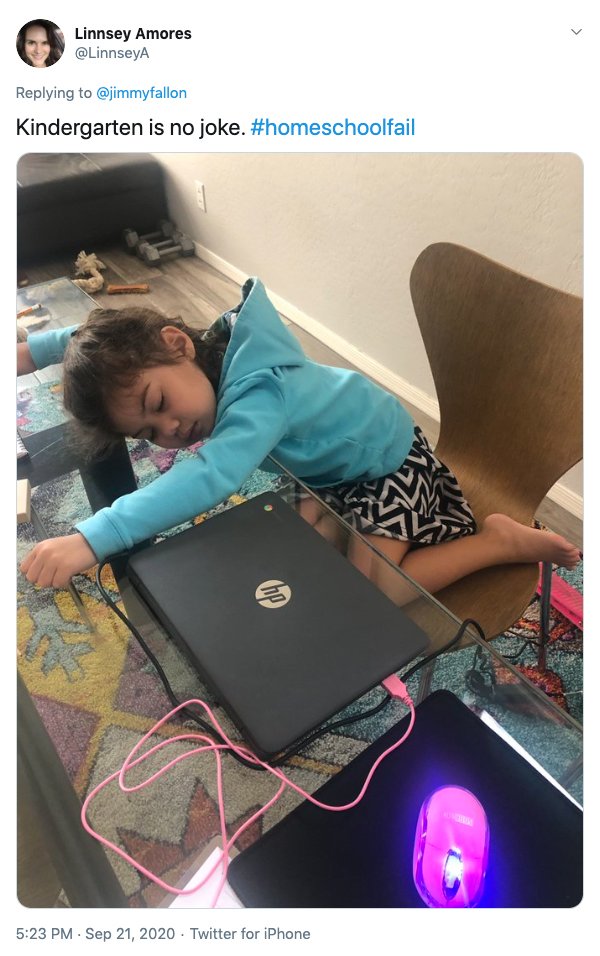 Homeschooling Fails (21 pics)