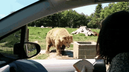 Acid Gifdump, October 1 (25 gifs)