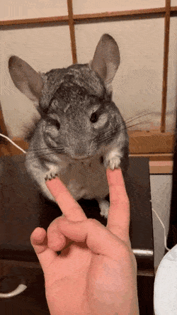 Acid Gifdump, October 1 (25 gifs)