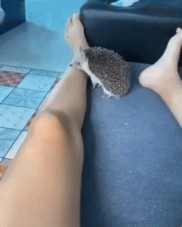 Acid Gifdump, October 1 (25 gifs)