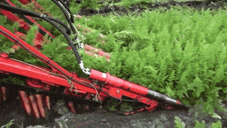 Acid Gifdump, October 2 (25 gifs)