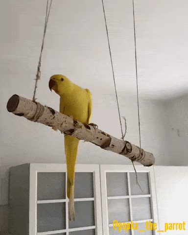 Acid Gifdump, October 2 (25 gifs)