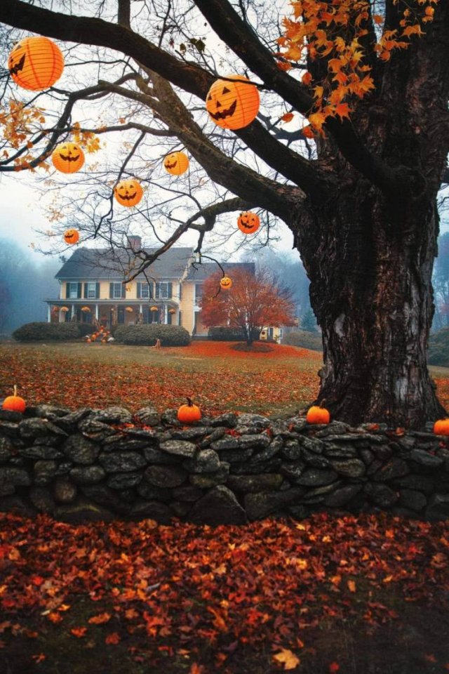 Fantastic Autumn Pictures (37 pics)