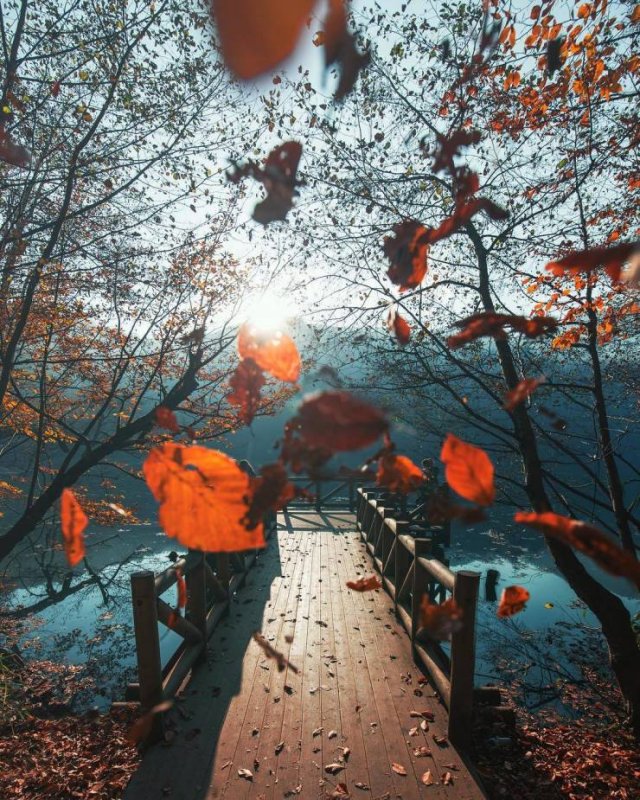 Fantastic Autumn Pictures (37 pics)