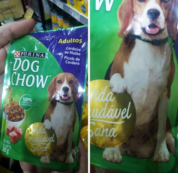 Bad Designs (20 pics)