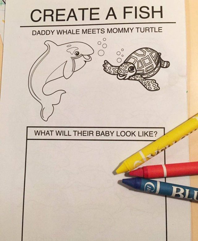 Bad Designs (20 pics)
