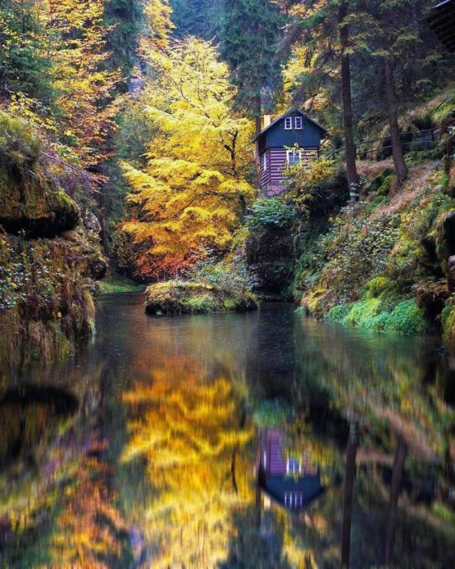 Fantastic Autumn Pictures (37 pics)