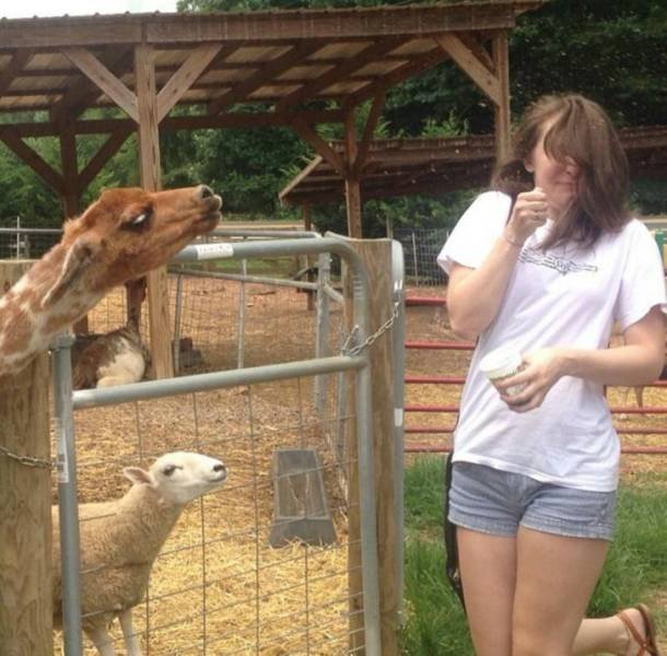 Each Photo Has A Story (17 pics)