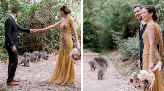 Each Photo Has A Story (17 pics)