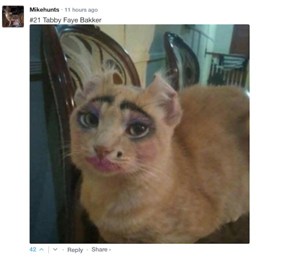 Sarcastic Comments (71 pics)