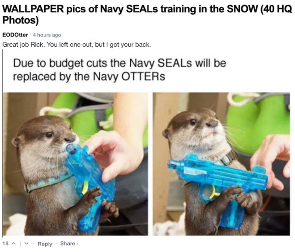 Sarcastic Comments (71 pics)