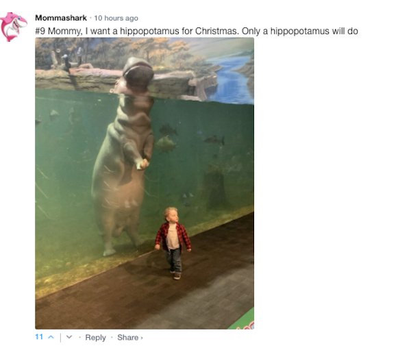 Sarcastic Comments (71 pics)