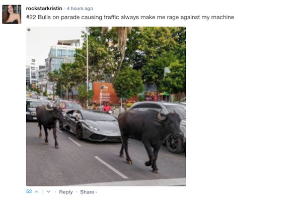 Sarcastic Comments (71 pics)