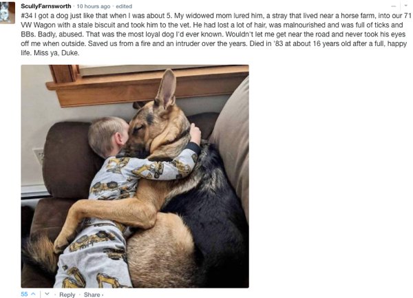 Sarcastic Comments (71 pics)