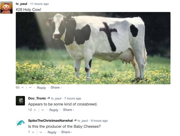 Sarcastic Comments (71 pics)