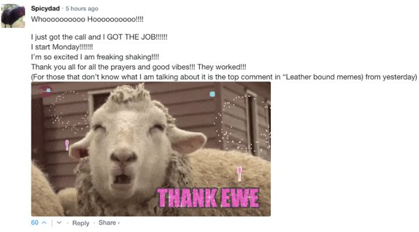 Sarcastic Comments (71 pics)