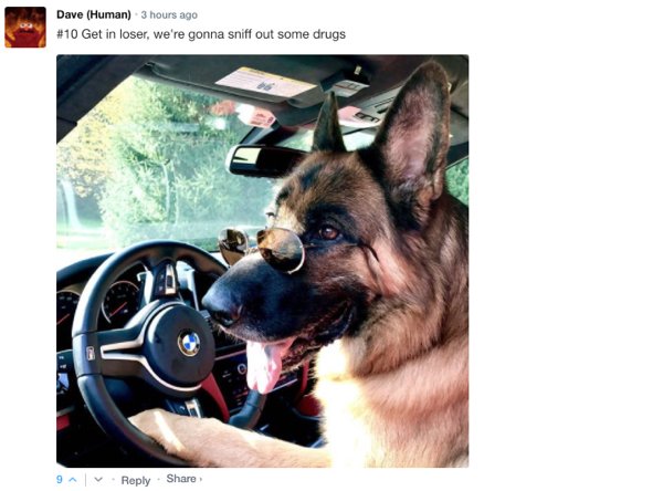 Sarcastic Comments (71 pics)