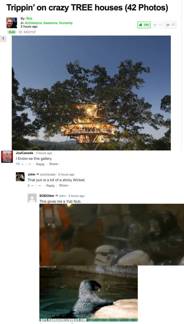 Sarcastic Comments (71 pics)