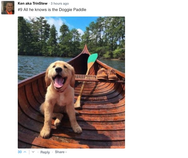 Sarcastic Comments (71 pics)