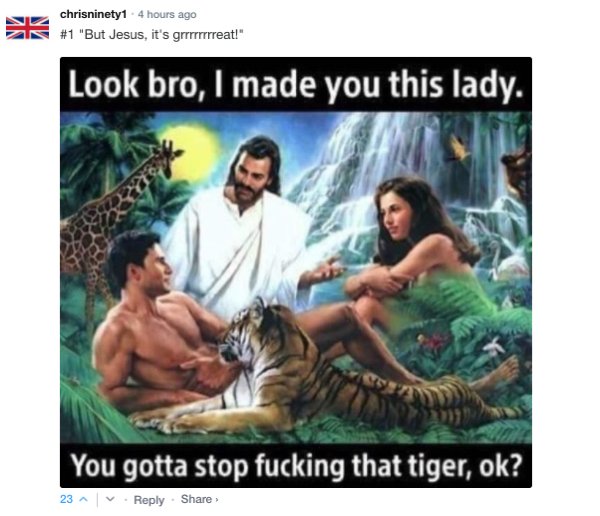Sarcastic Comments (71 pics)