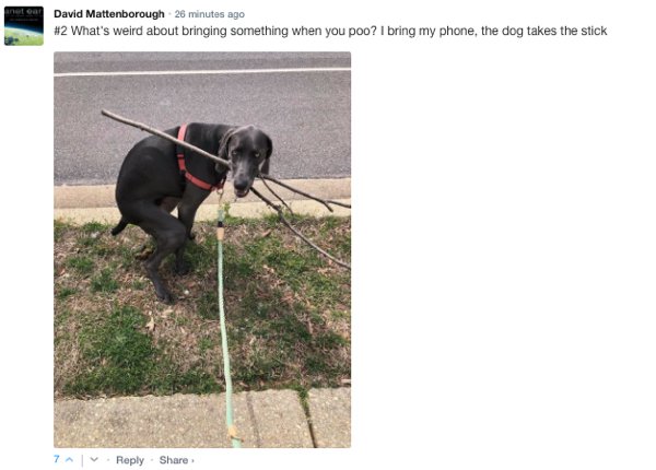 Sarcastic Comments (71 pics)