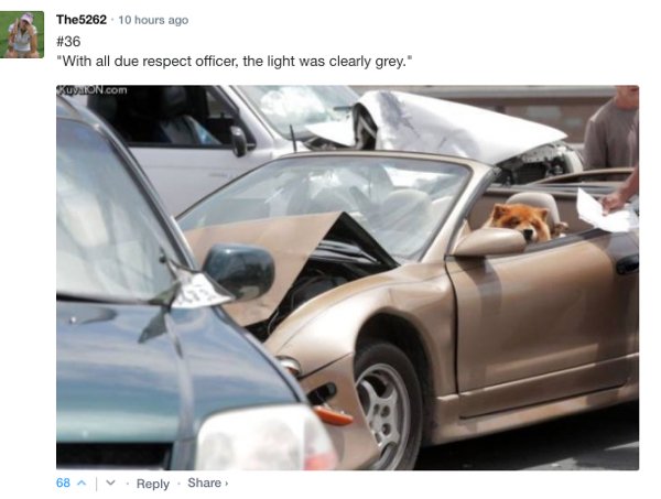 Sarcastic Comments (71 pics)