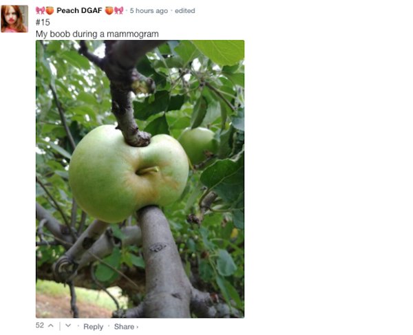 Sarcastic Comments (71 pics)