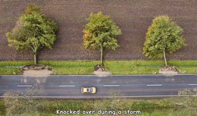 Acid Picdump. Part 2 (96 pics)