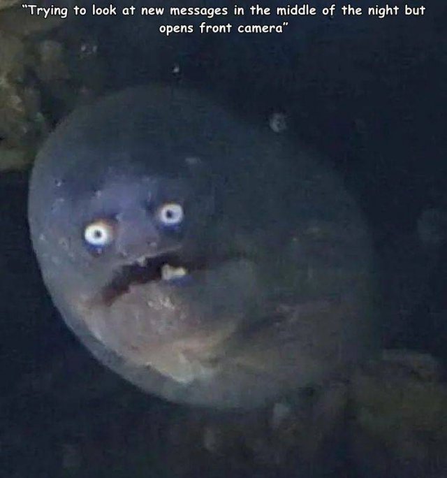 Acid Picdump. Part 2 (96 pics)