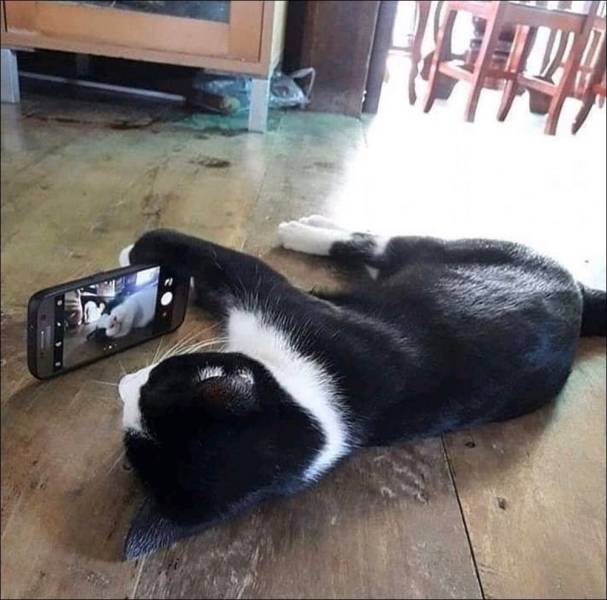 Acid Picdump. Part 2 (94 pics)