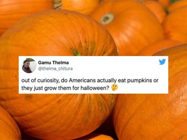 Non-Americans Questions About American Halloween (26 pics)