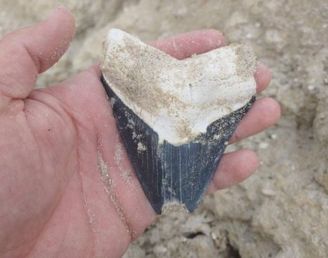 Interesting Findings (18 pics)