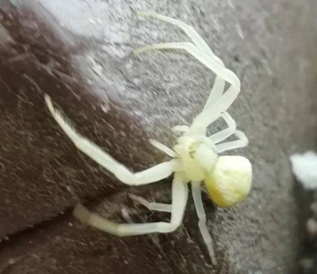 Interesting Findings (18 pics)