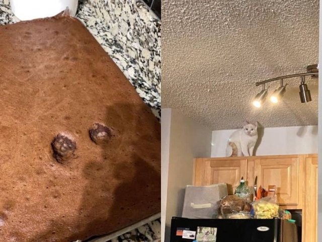 Bad Days Happen (46 pics)