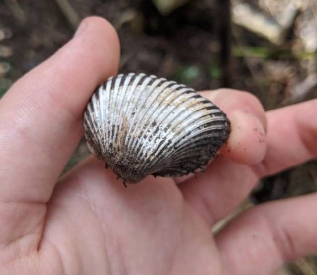 Interesting Findings (18 pics)