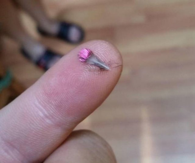 Interesting Findings (18 pics)